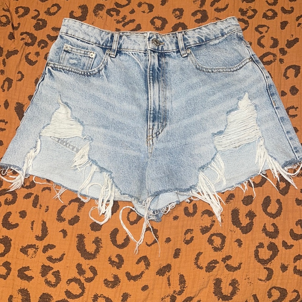 ZARA SHORTS